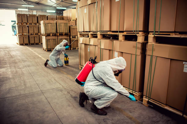 Best Pest Control Treatment  in Seagoville, TX
