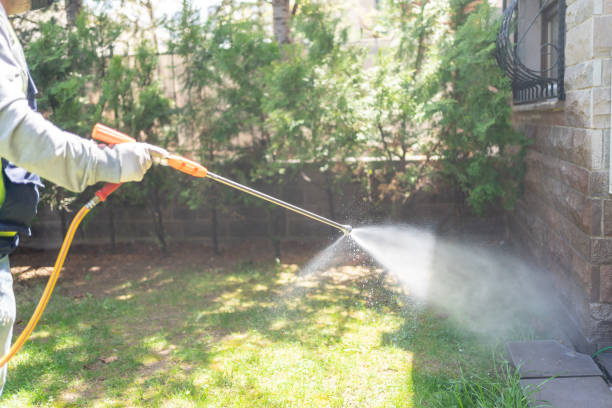 Reliable Seagoville, TX Pest Control Solutions