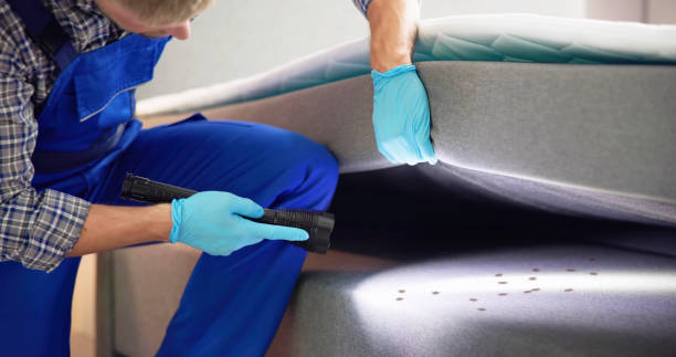 Best Bed Bug Extermination  in Seagoville, TX