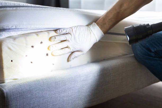 Best Pest Inspection Near Me  in Seagoville, TX