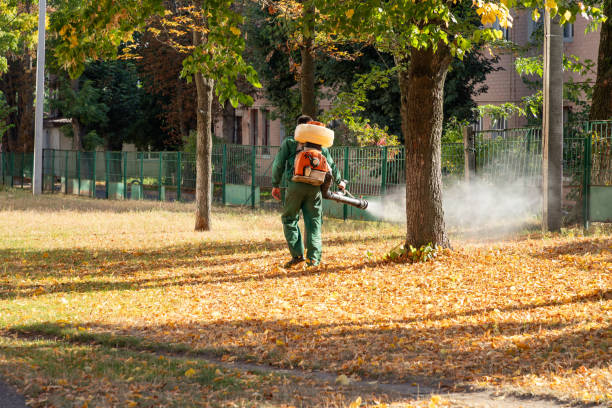 Best Termite Control Services  in Seagoville, TX