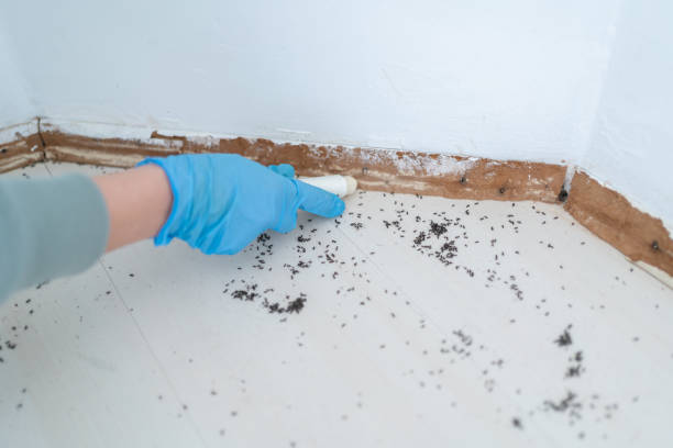 Best Exterminator Services  in Seagoville, TX